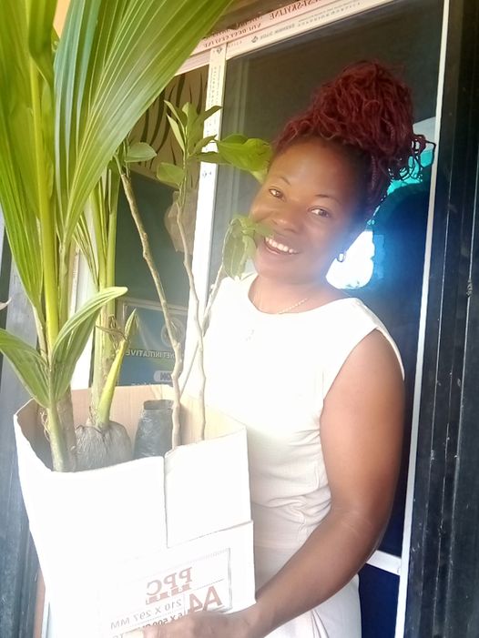 Greening the planet our focus.